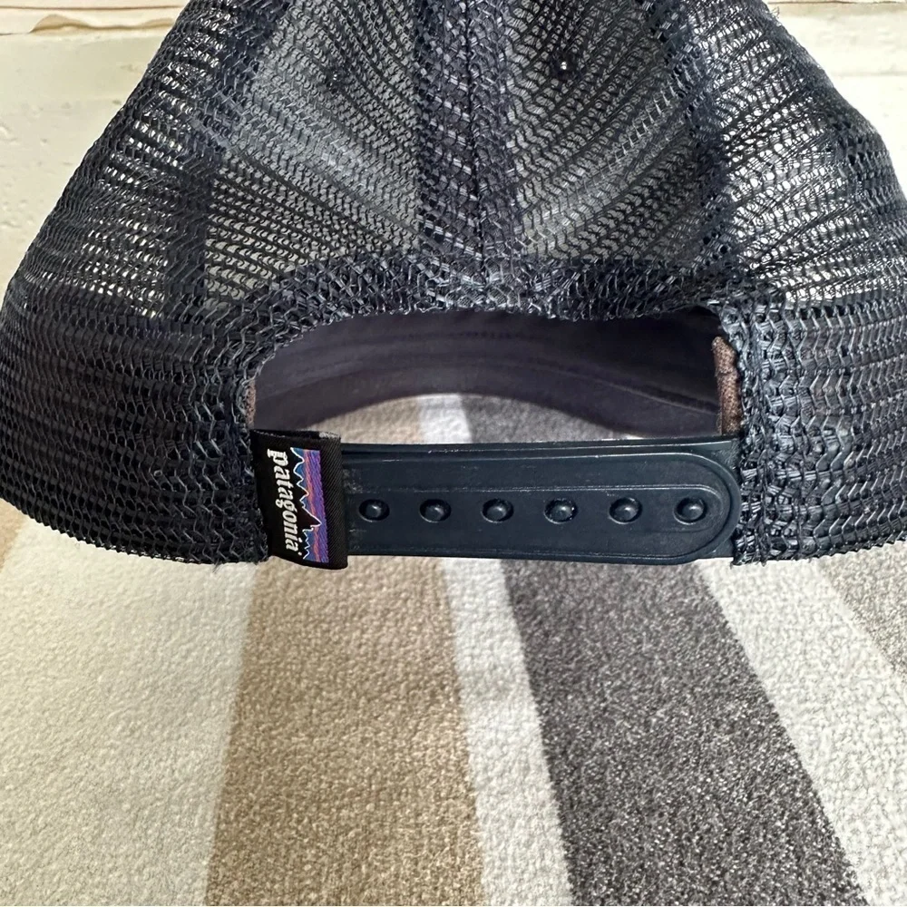 Patagonia Rare Master Chief Hat